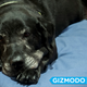 All images: Alex Cranz/Gizmodo